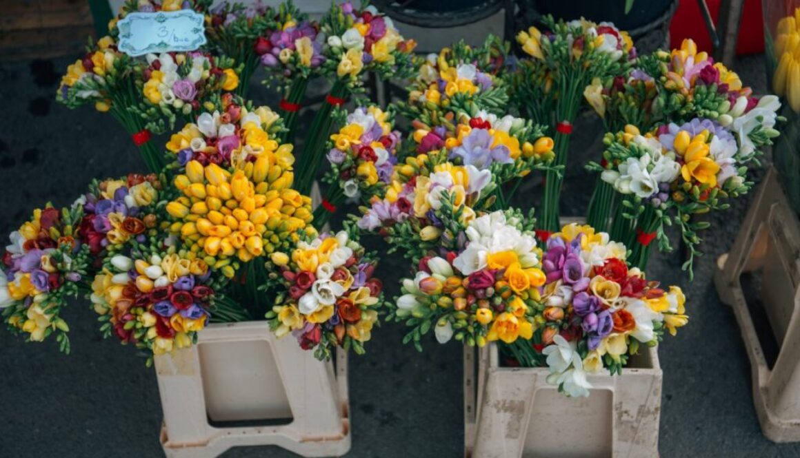 flowers_bouquets_bouquet_of_flowers_flower_bouquet_flowers_bouquet_floral_colorful_arrangement-552605