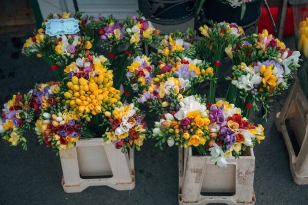 flowers_bouquets_bouquet_of_flowers_flower_bouquet_flowers_bouquet_floral_colorful_arrangement-552605